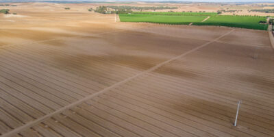 © www.pedroferraz.com